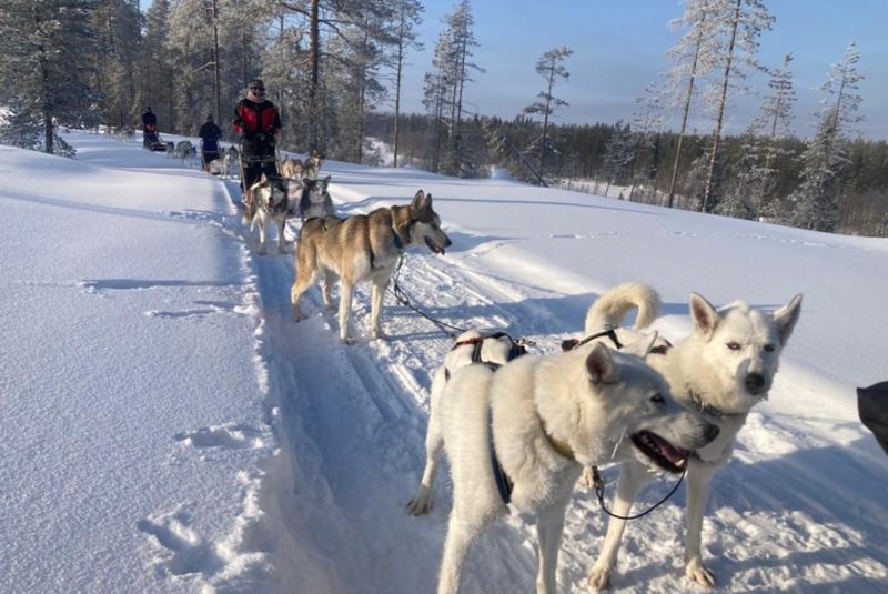 Winter Traum in Finnisch Lappland