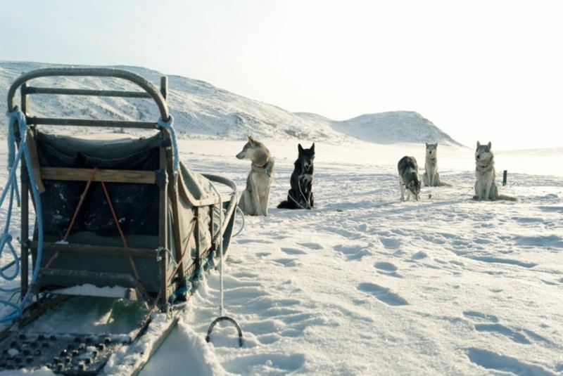 Winterwoche für Einsteiger in Finnland