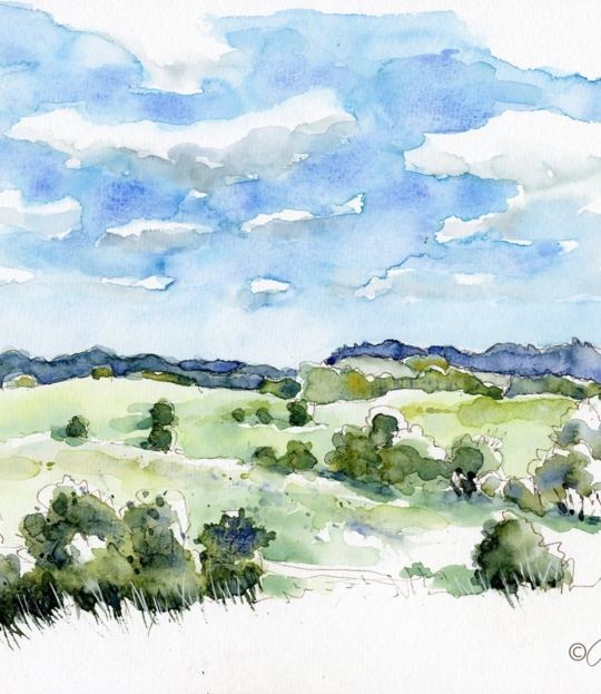 Skizzieren im Mühlviertler Hügelland  – Momente einfangen mit Stift & Farbe